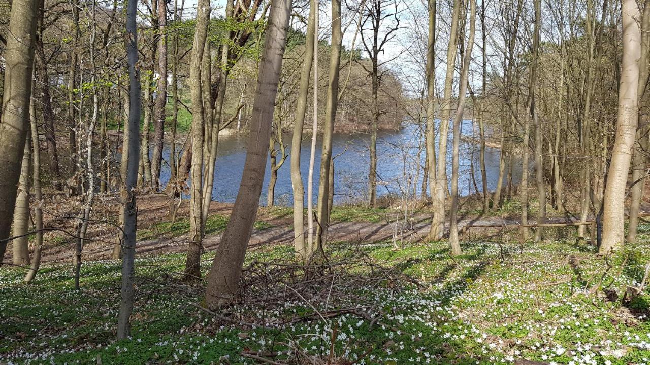 Niebieski Zakatek Wisełka Esterno foto