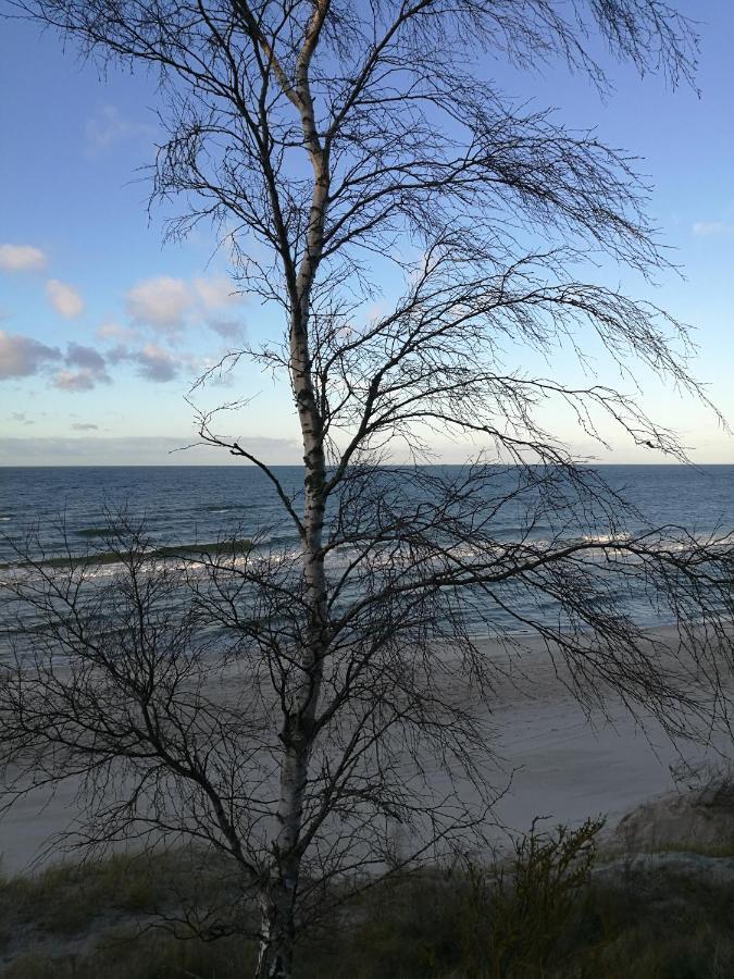 Niebieski Zakatek Wisełka Esterno foto