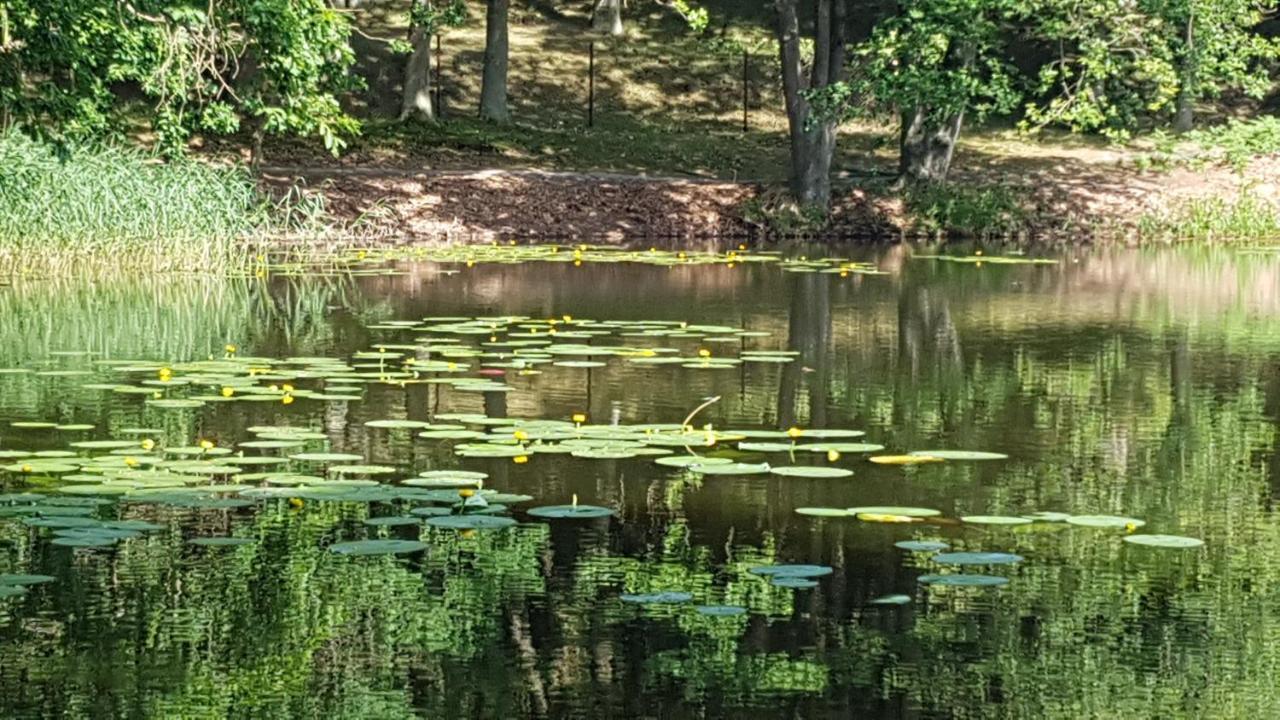 Niebieski Zakatek Wisełka Esterno foto