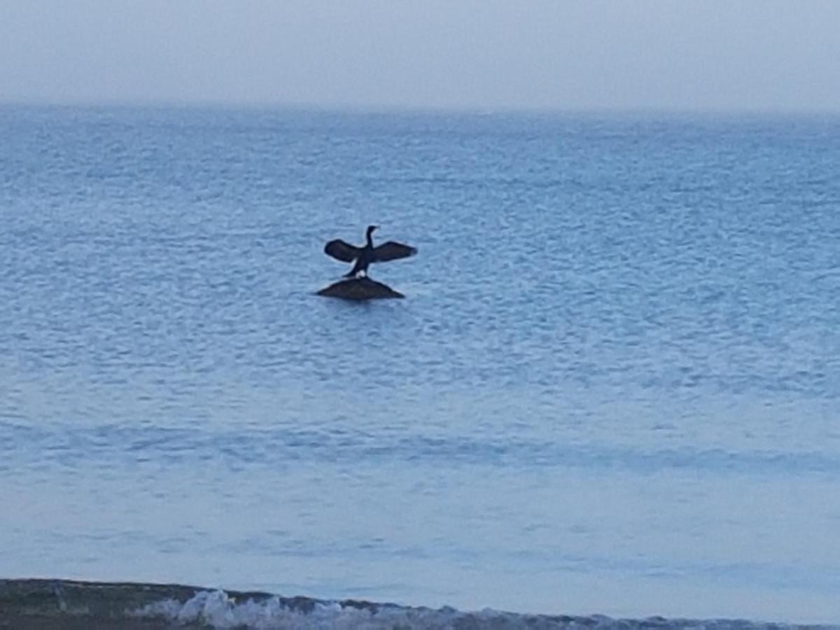 Niebieski Zakatek Wisełka Esterno foto