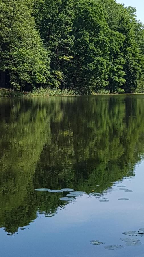 Niebieski Zakatek Wisełka Esterno foto